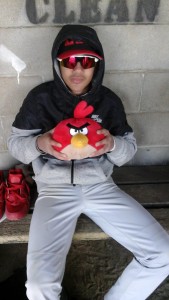 angry birds on a mission